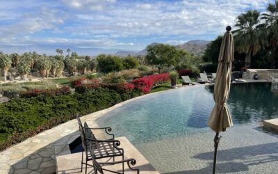 Desert Plunge Pools: The Compact, Cool Trend Sweeping Palm Springs
